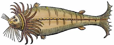 Stworzenie morskie, ksylografia zaczerpnięta z "Paralipomena accuratissima historiae omnium animalium quae in voluminibus Aldrovandi desiderantur/Bartholomaeus Ambrosinus... summo labore collegit; Marcus Antonius Berna bibliopola bononiensis propriis sumpt autorstwa Unbekannter Künstler