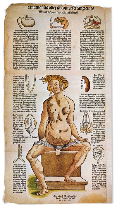 Medycyna: tablica anatomiczna opisująca anatomię kobiety z renesansowego traktatu medycznego. Wokół postaci siedzącej kobiety wymieniono i zilustrowano ważne narządy, takie jak wątroba, płuca i przepona, żołądek i aparat rozrodczy. Kolorowa rycina autorstwa Unbekannter Künstler