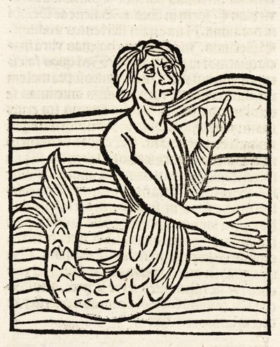 Merman autorstwa Unbekannt