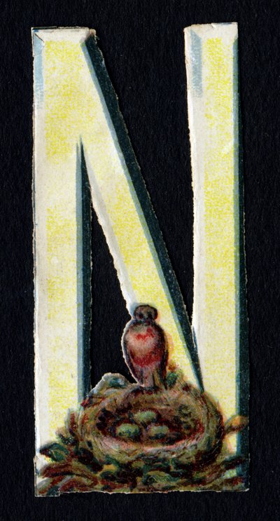 N jak Nest. Beetle decoupis na temat zwierząt. Rytownictwo. Seria 26 chromolitografii waflowych pochodzenia angielskiego. Nieznany redaktor i ilustrator. Koniec XIX wieku. Wymiary: 5,5x3,5cm autorstwa Unbekannt