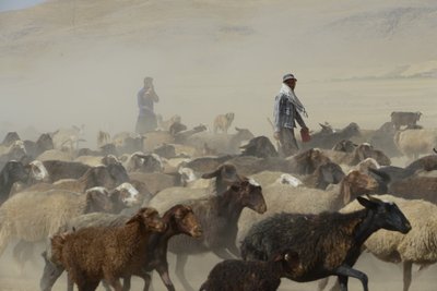 Nomadyczne namioty między Tamar a Aszchanią, Iran 2022 (fotografia) autorstwa Unbekannter Künstler