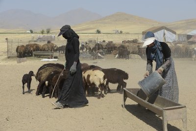 Nomadyczne namioty między Tamar a Aszchanią, Iran 2022 (fotografia) autorstwa Unbekannter Künstler