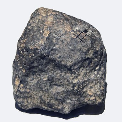 Zwykły chondryt (L/LL5). Toimbee na Ukrainie w 1866 r. Narodowe Muzeum Historii Naturalnej w Paryżu. autorstwa Unbekannt