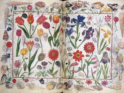 Kartki z Albumu Amicorum Philippa Hainhofera, 1596-1633 autorstwa Unbekannt