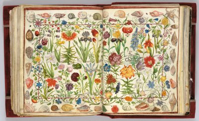 Kartki z Albumu Amicorum Philippa Hainhofera, 1596-1633 autorstwa Unbekannt