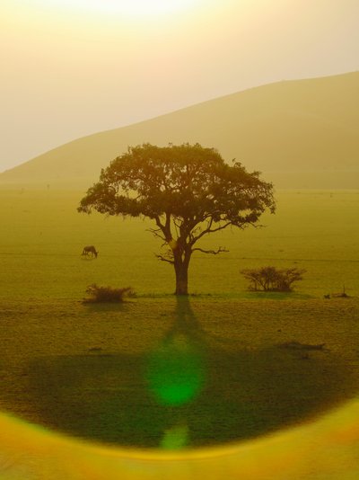 Raj po deszczu, Chyulu Hills, 2018 (zdjęcie) autorstwa Unbekannter Künstler