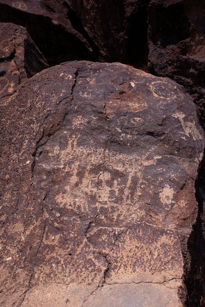 Petroglify przedstawiające zwierzęta i postacie - Petroglyph National Monument - Albuquerque, Nowy Meksyk, USA (USA) autorstwa William M. Timlin