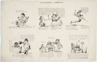 Frenologia „Ilustracje Bumpologii” autorstwa Unbekannt