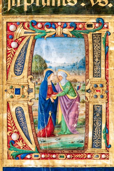 Biblioteka Piccolomini: Księga Chóralna, dor. 14.P., nn. 2r z „Nawiedzeniem Maryi i Najświętszej Marii Panny”. Elżbieta, autorstwa Giovanniego di Giuliano Boccardi, znanego jako Boccardino Starszy. Szczegół. autorstwa Unbekannter Künstler