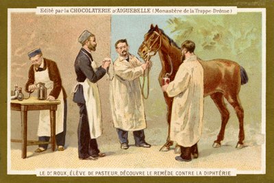 Pierre Paul Émile Roux autorstwa Unbekannter Künstler