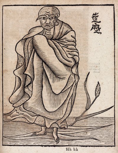 Bodhidharma dnia portretu (v autorstwa Unbekannt