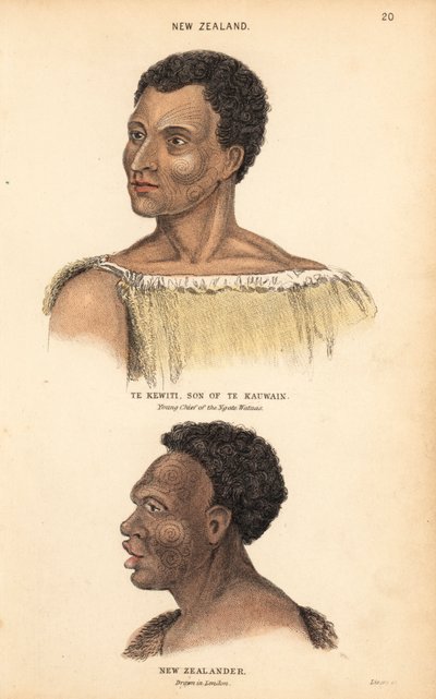 Portret Te Kewiti, syna Te Kauwaina, młodego wodza Maorysów Ngate Watnas, Nowa Zelandia, oraz portret wytatuowanego Maorysa, Nowa Zelandia, narysowany w Londynie przez Agasse. Ręcznie kolorowany staloryt Lizarsa na podstawie ilustracji Charlesa Hamiltona S autorstwa Unbekannter Künstler
