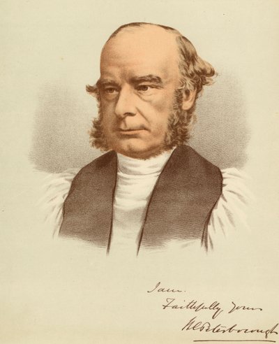 Portret Williama Magee autorstwa Unbekannter Künstler