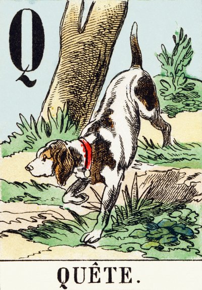 P : Quete - A Alfabet myśliwski, ok. 1890 (rycina) autorstwa Unbekannt