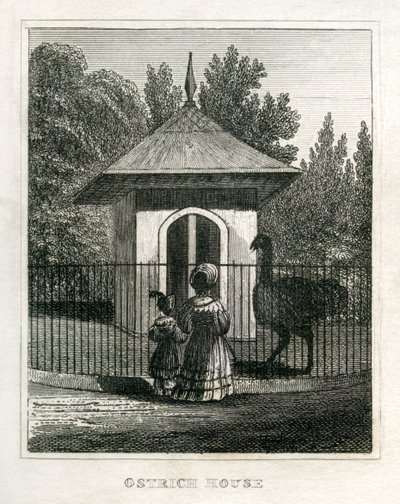 Ogród zoologiczny Regent