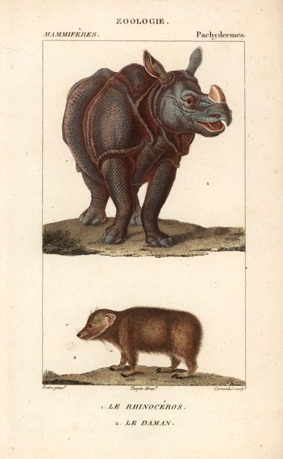 Rhinoceros et daman ou clade - Eau forte autorstwa Jeana Gabriela Pretre