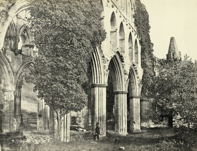 Opactwo Rievaulx, North Yorkshire, Wielka Brytania (zdjęcie czarno-białe) autorstwa Unbekannter Künstler