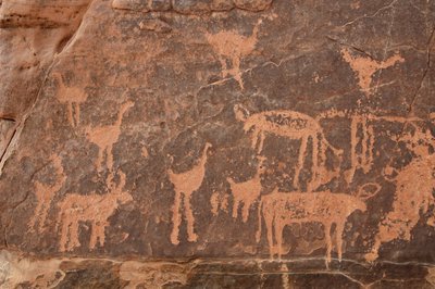 Sztuka naskalna, prehistoria: Fragment ryciny przedstawiający zestaw strusi i bydła w masywie Uweinat w Egipcie (okres od 8000 do 3000 lat pne). Fotografia autorstwa Unbekannt