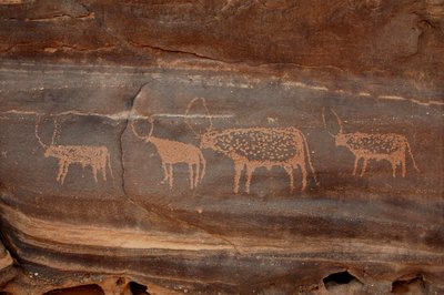 Sztuka naskalna, prehistoria: Grawerowanie czterech sztuk bydła w masywie Uweinat w Sudanie (Karkur-Talh lub Karkur Talh). Okres od 8000 do 3000 lat pne. Fotografia autorstwa Unbekannt