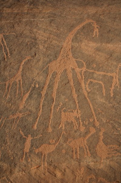 Sztuka naskalna, prehistoria: grawerowanie żyraf, strusi, owiec i postaci w masywie Uweinat w Sudanie (Karkur-Talh lub Karkur Talh). Okres od 8000 do 3000 lat pne. Fotografia autorstwa Unbekannt