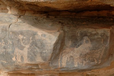 Sztuka naskalna, prehistoria: Grawerowanie trzech sztuk bydła w masywie Uweinat w Sudanie (Karkur-Talh lub Karkur Talh). Okres od 8000 do 3000 lat pne. Fotografia autorstwa Unbekannt