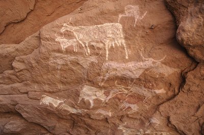 Sztuka naskalna, prehistoria: Malowidło naskalne przedstawiające grupę bydła w ozdobnym schronie w masywie Uweinat w Sudanie (Karkur-Talh lub Karkur Talh). Okres od 8000 do 3000 lat pne. Fotografia autorstwa Unbekannt