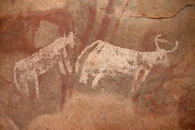 Sztuka naskalna, prehistoria: Malowidło naskalne przedstawiające białe i dwukolorowe bydło w ozdobnym schronie w masywie Uweinat w Sudanie (Karkur-Talh lub Karkur Talh). Okres od 8000 do 3000 lat pne. Fotografia autorstwa Unbekannt