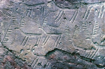 Rzeźby naskalne w Narodowym Parku Archeologicznym Massi di Cemmo, Val Camonica (lista światowego dziedzictwa UNESCO autorstwa William M. Timlin