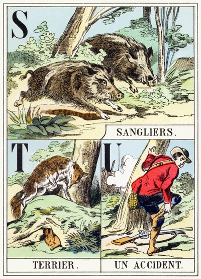 S T U : Sanglier, Terrier, Un wypadek - Alfabet myśliwski, ok. 1890 (rycina) autorstwa Unbekannt