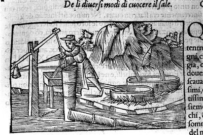 Produkcja soli: gotowanie. Grawer Olausa Magnusa (1490 - 1557), szwedzkiego zakonnika i geografa, "Historia Narodu Północnego", Wenecja autorstwa Unbekannt