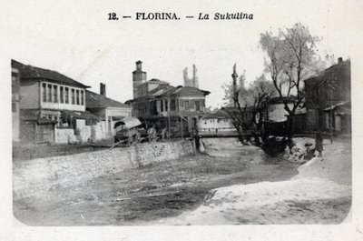 Serbia, Florina (dzisiejsza Grecja): widok na Sukulinę - pocztówka 1914-1918 autorstwa William M. Timlin