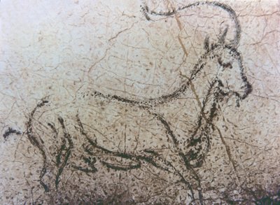 Hiszpańska koza niania, okres paleolitu, ok. 40000-12000 p.n.e. (malarstwo naskalne) autorstwa Unbekannter Künstler