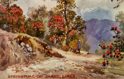 Wiosna na Jahko, Simla, Indie autorstwa Unbekannter Künstler