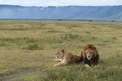 Obszar Chroniony Ngorongoro, Tanzania autorstwa Benjamin Baud