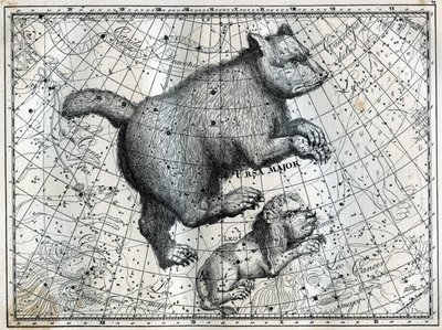 Gwiazdozbiory borealne: Wielka Niedźwiedź i Mały Lew. Grawer z „Gwiazdy i inne osobliwości nieba” Camille Flammarion autorstwa Unbekannt