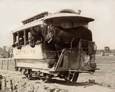 Wóz konny Cherrelyn, Denver, Kolorado, ok. 1890 (zdjęcie czarno-białe) autorstwa Nicolas Liez