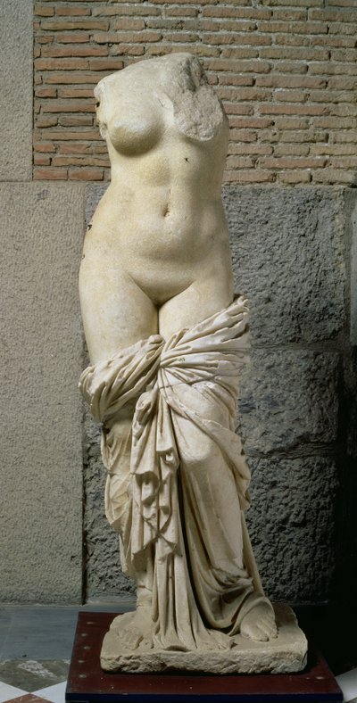 Sinuessa Afrodyta (marmur) autorstwa Unbekannt