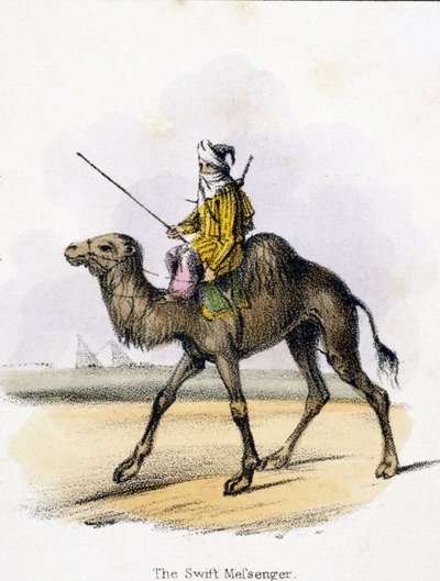 Szybki Posłaniec”, ok. 1845 r autorstwa Unbekannter Künstler