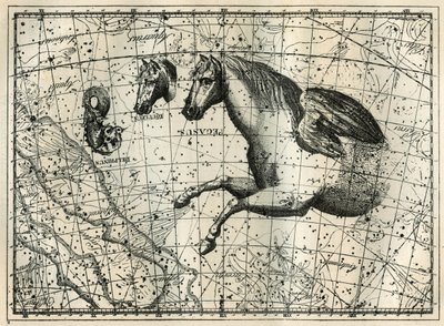 Konstelacja Pegazy rysuje jak przednia połowa konia z parą skrzydeł, Konikiem, głową konia i Delfinem. Grawer z „Les étoiles et les autres curiosites du ciel” autorstwa Camille Flammarion autorstwa Unbekannt