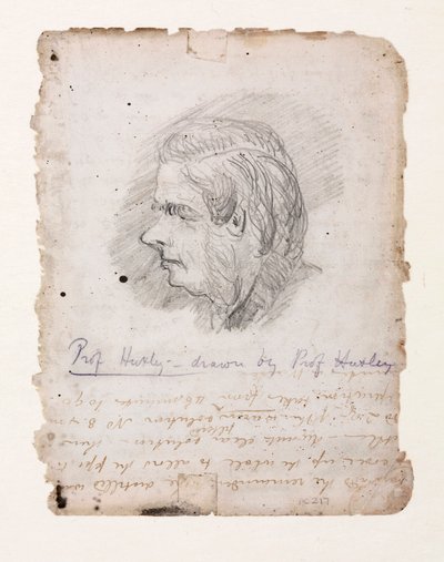 Thomas Henry Huxley, angielski biolog, połowa końca XIX wieku autorstwa Unbekannt
