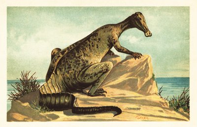 Trachodon mirabilis, wymarły dinozaur hadrozaura.1908 (litografia) autorstwa Unbekannter Künstler