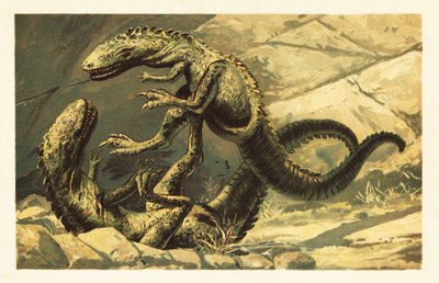Dwa walczące Dryptosaurus aquilunguis.1908 (litografia) autorstwa Unbekannter Künstler