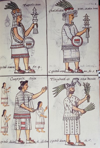 Tzapotlatena, Chalchiuhtlatonal, Cioapipitli i Tliltecuhtli, Kodeks florencki, wersja dwujęzyczna w języku hiszpańskim i nahuatl, Ogólna historia rzeczy Nowej Hiszpanii, Aztec autorstwa William M. Timlin
