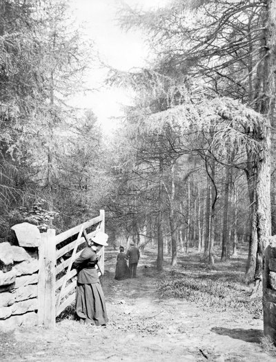 Wielka Brytania : Eaton Woods, ok. 1890 r. autorstwa Unbekannt