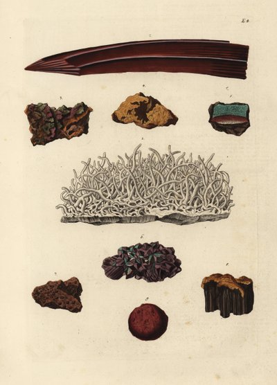 Odmiany rudy żelaza. Ręcznie kolorowany miedzioryt według ilustracji z Deliciae Naturae Selectae Georga Wolfganga Knorra z Kabinet van Zeldzaamheden der Natuur, Blusse and Son, Norymberga. autorstwa Unbekannter Künstler