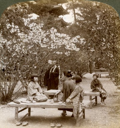 Rodzina na pikniku pod kwitnącymi wiśniami, Omuro Gosho, Kioto, Japonia, 1904. autorstwa Underwood and Underwood