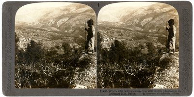 Plantacja jedwabników w górach Libanu, Syria, 1900. autorstwa Underwood and Underwood
