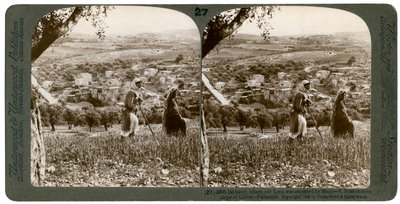 Bethany widziana ze wschodniego zbocza Góry Oliwnej, Palestyna, 1899. autorstwa Underwood and Underwood