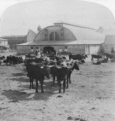 Budynek, w którym sądzono jeńców wojennych, Pretoria, RPA, wojna burska, 1901 autorstwa Underwood and Underwood