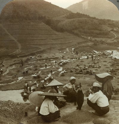 Pogłębianie koryta rzeki pod rubiny, Mogok, Birma, ok. 1900. autorstwa Underwood and Underwood